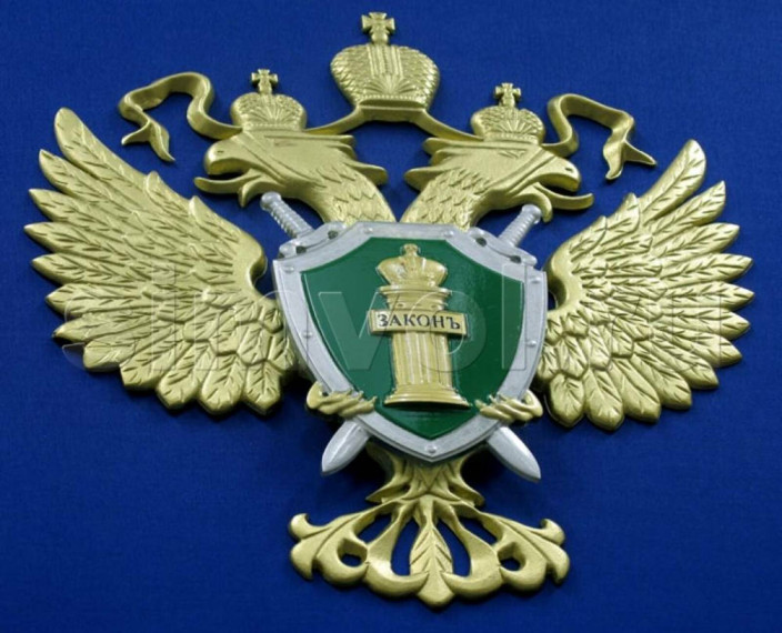 Заместитель прокурора Корочанского района поддержал в суде государственное обвинение. Заместитель прокурора Корочанского района поддержал в суде государственное обвинение.